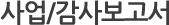 사업/감사보고서