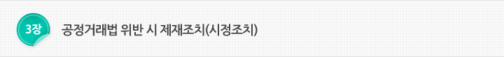 제3장 공정거래법 위반시 제재조치(시정조치)