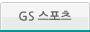 GS 스포츠