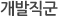 개발직군