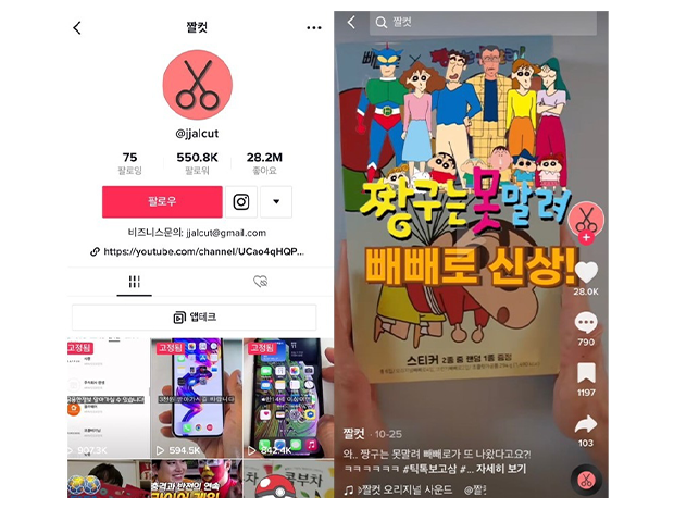 TikTok 짤컷 화면 캡쳐 이미지