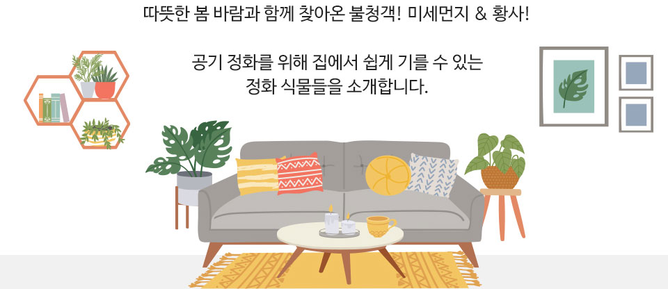 따뜻한 봄 바람과 함께 찾아온 불청객! 미세먼지 & 황사! 공기 정화를 위해 집에서 쉽게 기를 수 있는 정화 식물들을 소개합니다.