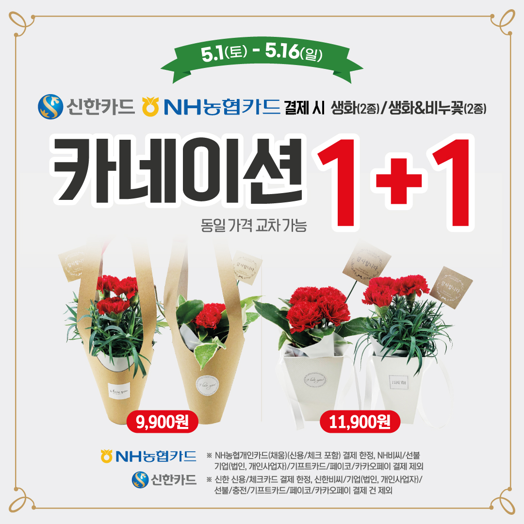 카네이션 1+1 자세히 보러가기