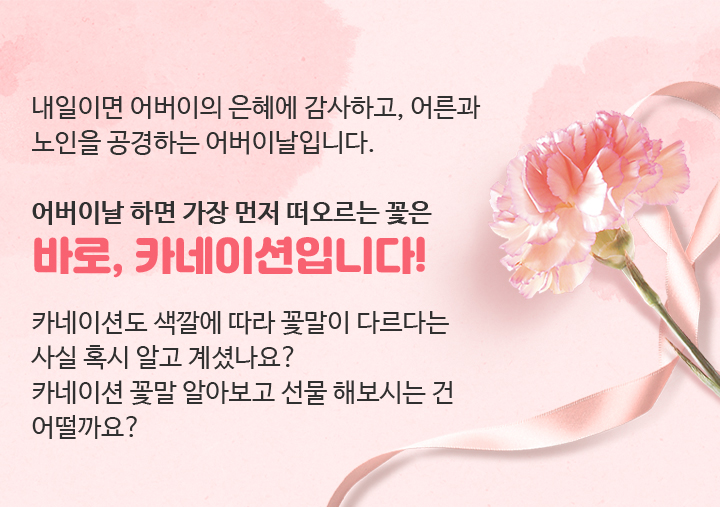 내일이면 어버이의 은혜에 감사하고, 어른과 노인을 공경하는 어버이날입니다. 어버이날 하면 가장 먼저 떠오르는 꽃은 바로, 카네이션입니다! 카네이션도 색깔에 따라 꽃말이 다르다는 사실 혹시 알고 계셨나요? 카네이션 꽃말 알아보고 선물 해보시는 건 어떨까요?
