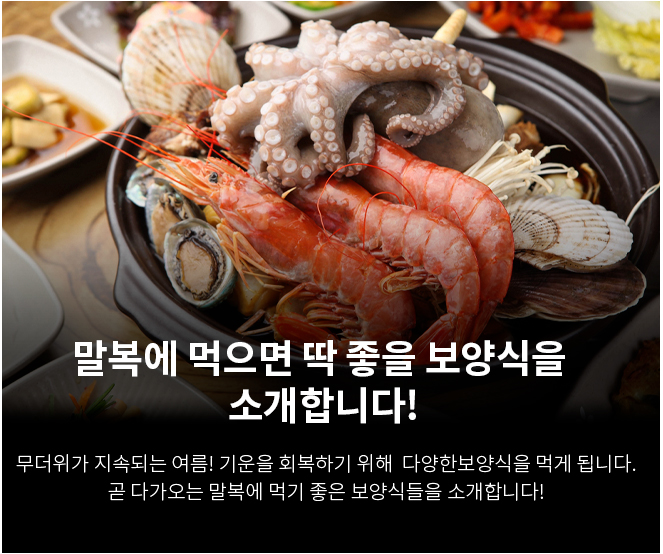 말복에 먹으면 딱 좋을 보양식을 소개합니다!​ 무더위가 지속되는 여름!​ 기운을 회복하기 위해  다양한 보양식을 먹게 됩니다.​곧 다가오는 말복에 먹기 좋은 보양식들을 소개합니다!​
