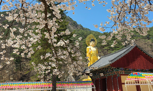 도를 넘나들며 산행하는 속리산 탐방 사진