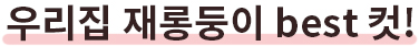 우리집 재롱둥이 best 컷!